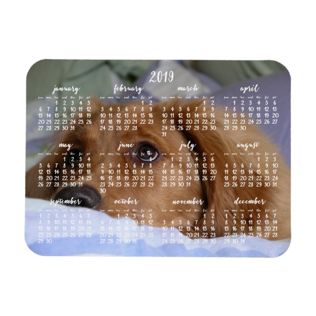 Golden Retriever Calendar 2019 with Photo Magnet (Horisontell)