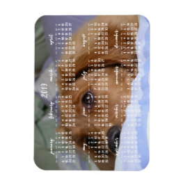 Golden Retriever Calendar 2019 with Photo Magnet