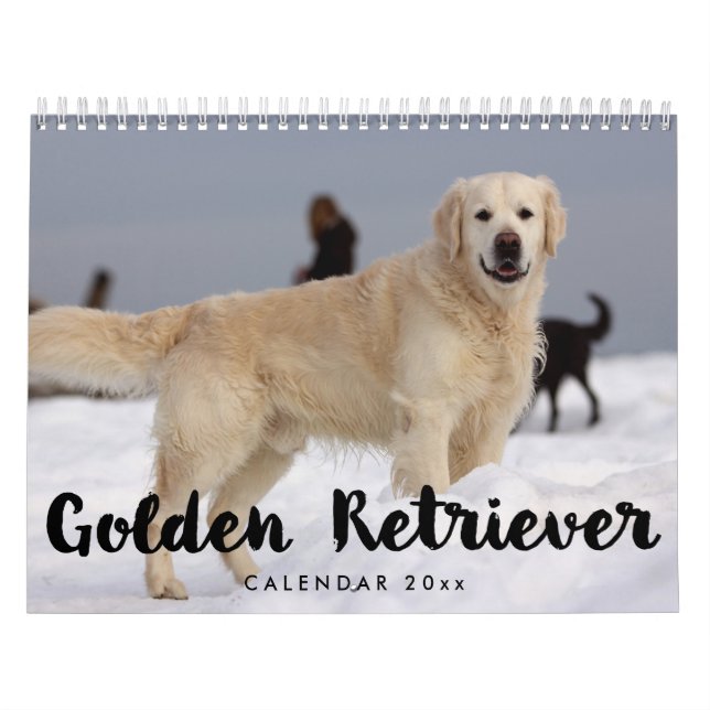 Golden Retriever Calendar 2023 Lägg till foton Kalender (Omslag)