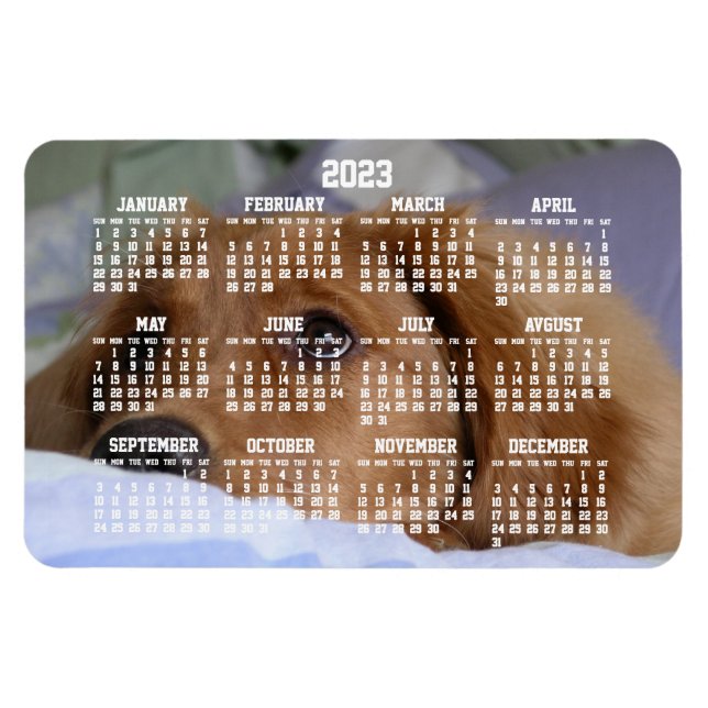 Golden Retriever Calendar 2023 Large Photo Magnet (Horisontell)