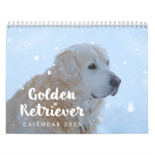 Golden Retriever Calendar 2023 Personlig Kalender