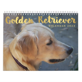 Golden Retriever Calendar 2023 Photos Kalender