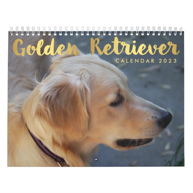 Golden Retriever Calendar 2023 Photos Kalender (Omslag)