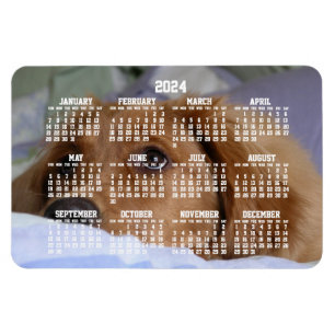 Golden Retriever Calendar 2024 Large Photo Magnet