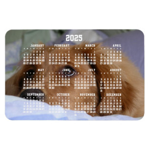 Golden Retriever Calendar 2025 Large Photo Magnet