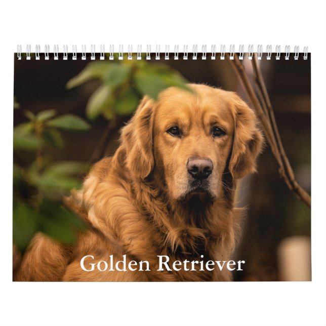 Golden Retriever Calendar Kalender (Omslag)