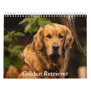 Golden Retriever Calendar Kalender
