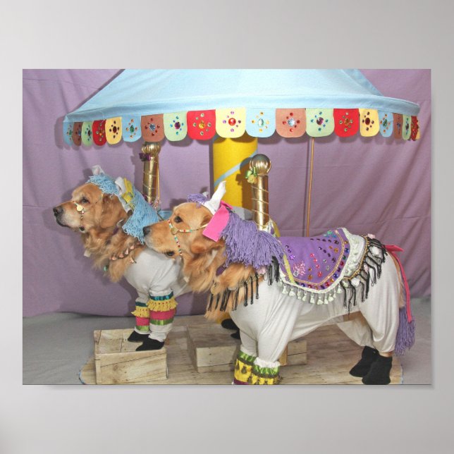 Golden Retriever Carousel Poster (Framsidan)