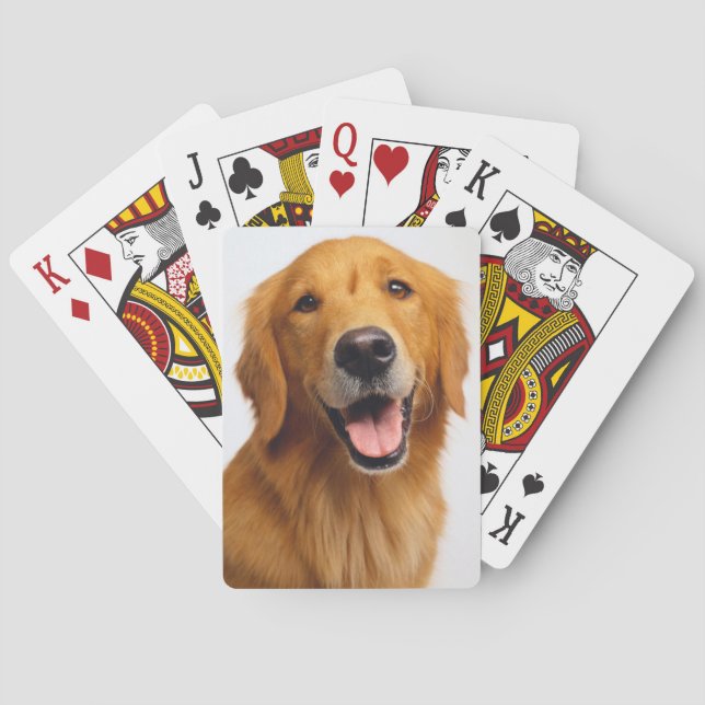 Golden Retriever Casinokort (Baksidan)