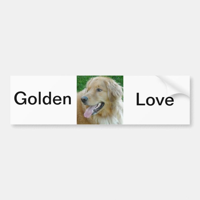 Golden Retriever Close-up Bildekal (Framsidan)