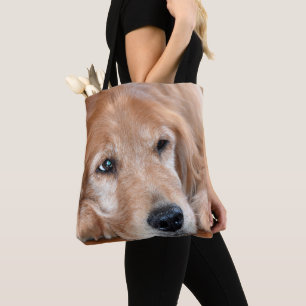 Golden Retriever Closeup Tygkasse