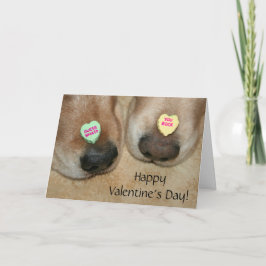 Golden Retriever Conversation Hearts Valentine's Helgkort