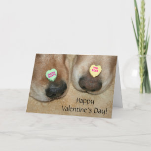 Golden Retriever Conversation Hearts Valentine's Helgkort