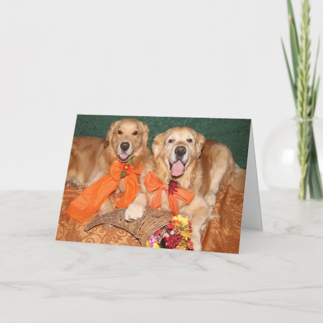 Golden Retriever Cornucopia Thanksgiving Helgkort (Framsida)