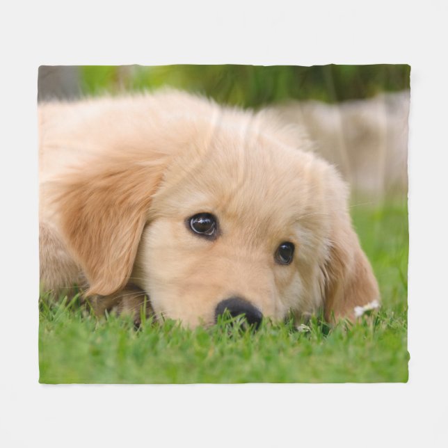 Golden Retriever Cute Puppy Dreaming, mysiga Fleecefilt (Framsidan (Horisontell))