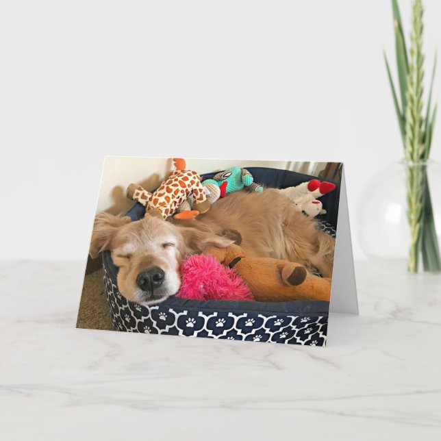 Golden Retriever där dina drömmar tar dig Kort (Framsida)