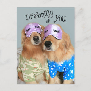 Golden Retriever drömmer om din Alla hjärtans dag Helg Vykort