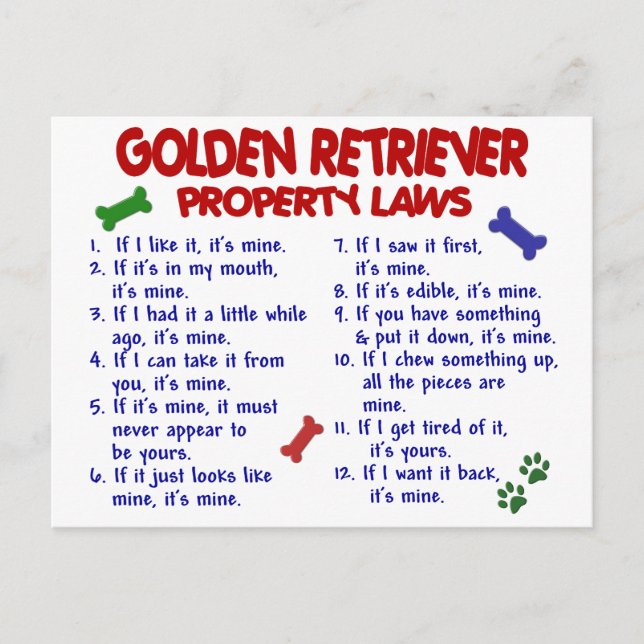 Golden Retriever Egendom Laws 2 Vykort (Framsida)