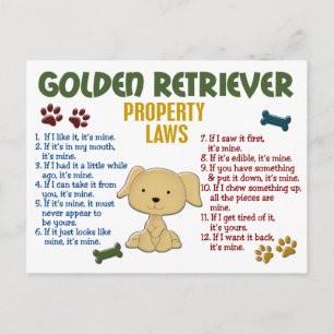 Golden Retriever Egendom Laws 4 Vykort