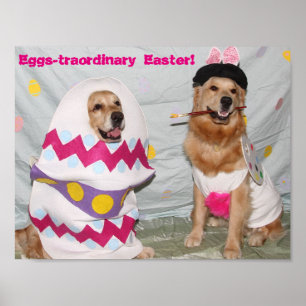 Golden Retriever Eggstraordinär Påskhare Poster