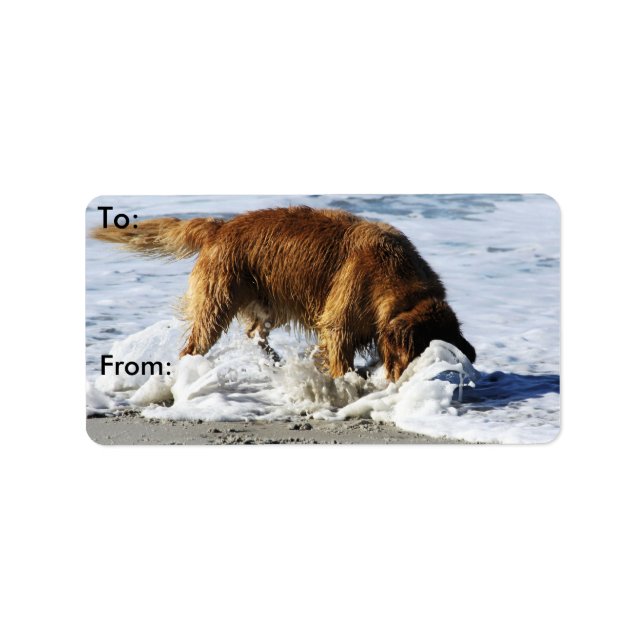 Golden Retriever EVERYBODY STOP! Jag Borttappadar  Adressetikett (Framsidan)