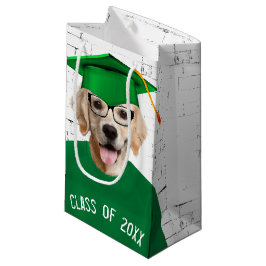 Golden Retriever examen med grön t-shirt