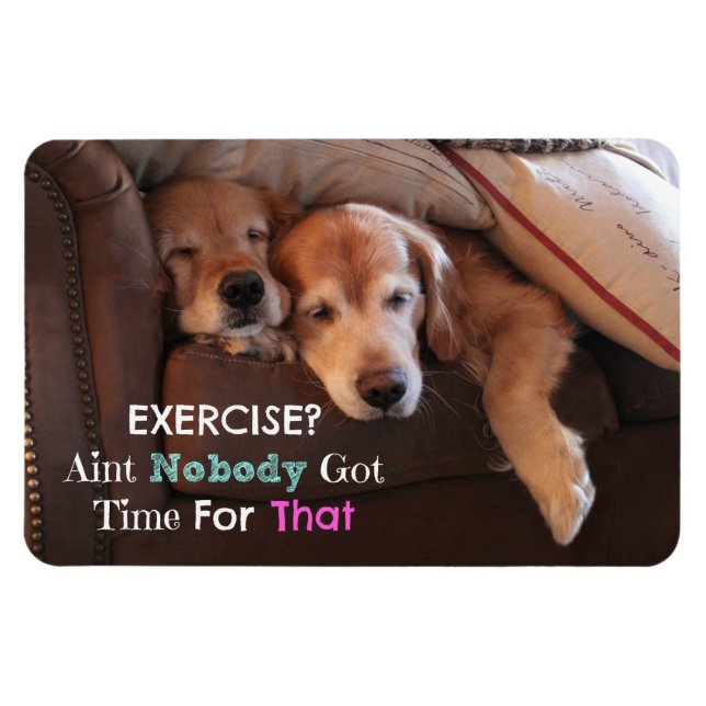 Golden Retriever Exercise Demotivational Magnet (Horisontell)