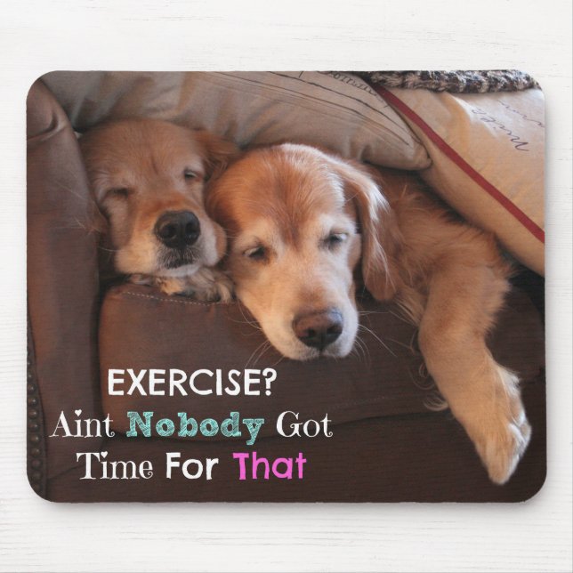 Golden Retriever Exercise Demotivational Musmatta (Framsidan)