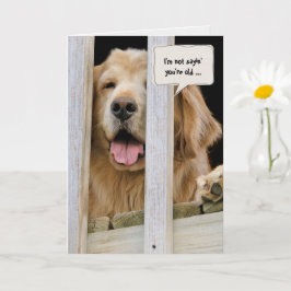 Golden Retriever får gammal födelsedag Kort