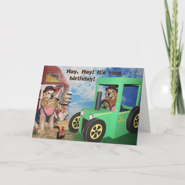 Golden Retriever Farmyard Birthday Kort (Framsida)