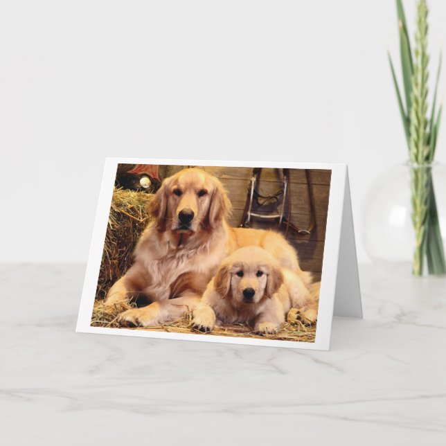 Golden Retriever Fars dag Card Kort (Framsida)