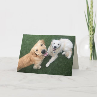 Golden Retriever Far's Day Card Helgkort