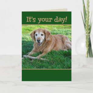 Golden Retriever Fetching Goodies for Fars dag Kort