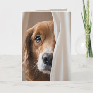 Golden Retriever Födelsedag Humor Kort