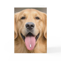 Golden Retriever Födelsedag Humor
