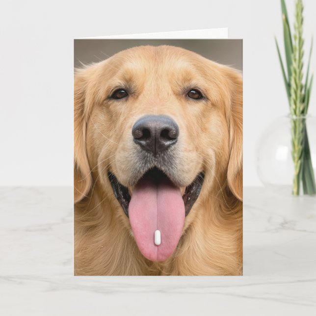 Golden Retriever Födelsedag Humor Kort (Framsida)