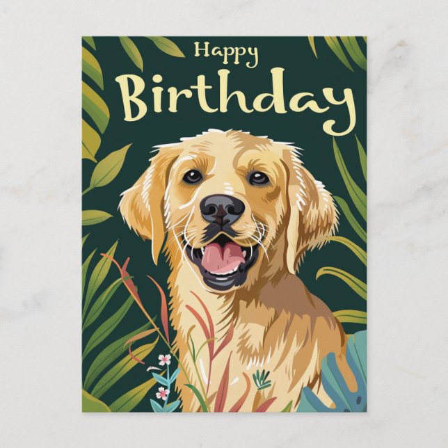 Golden Retriever födelsedag  Vykort (Framsida)