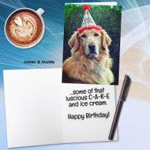 Golden Retriever & Födelsedagsfesthatt