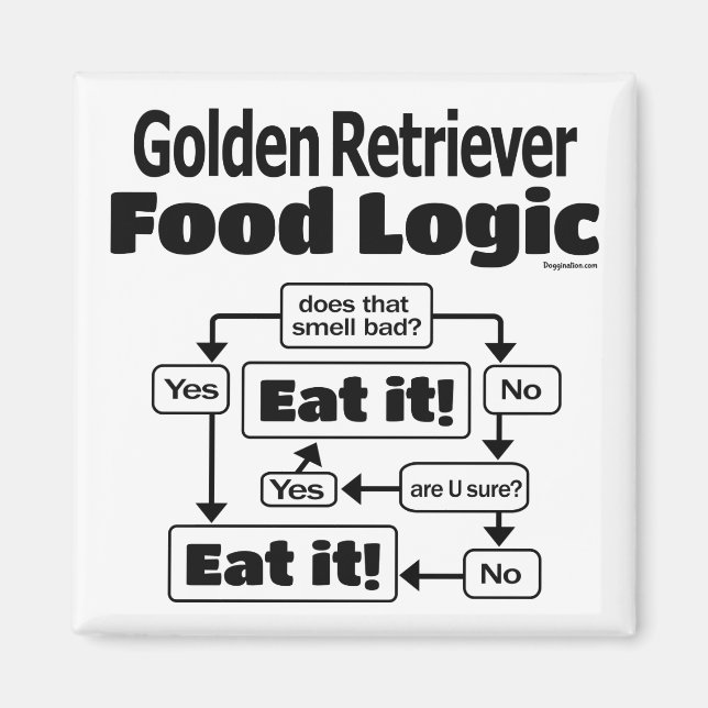 Golden Retriever Food Logic Magnet (Framsidan)