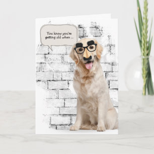 Golden Retriever för att bli gammal födelsedag Kort