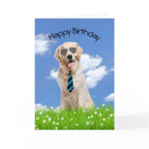 Golden Retriever for Birthday