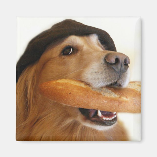 Golden Retriever Fransk Bread Magnet (Framsidan)
