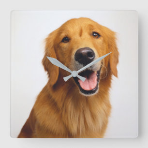 Golden Retriever Fyrkantig Klocka