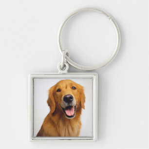 Golden Retriever Fyrkantig Silverfärgad Nyckelring