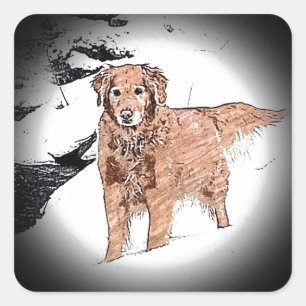 Golden Retriever Fyrkantigt Klistermärke