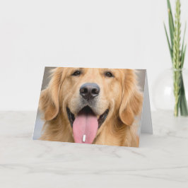 Golden Retriever Gammal Ålder Födelsedag Humor Kort