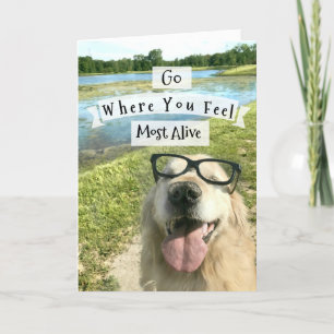 Golden Retriever går dit där du känner dig inspire Kort