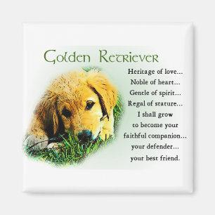 Golden Retriever-gåvor Magnet