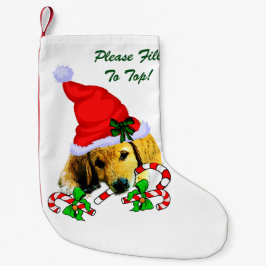 Golden Retriever God jul Liten Julstrumpa
