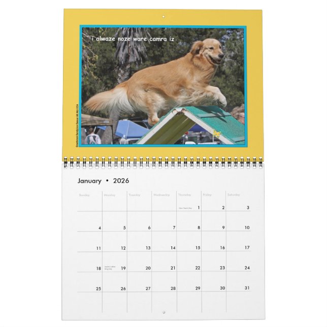 Golden Retriever "Goldens Rule" 12 månaders kalend Kalender (Jan 2026)